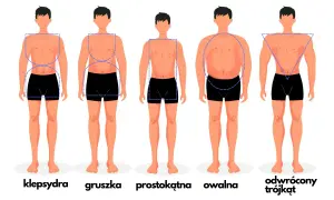Sylwetki męskie: klepsydra (szerokie biodra, wąska talia), gruszka, prostokątna, owalna, odwrócony trójkąt.