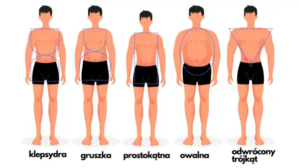 Sylwetki męskie: klepsydra (szerokie biodra, wąska talia), gruszka, prostokątna, owalna, odwrócony trójkąt.